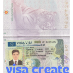 how to get a work visa in Estonia countries Non-EU Citizens